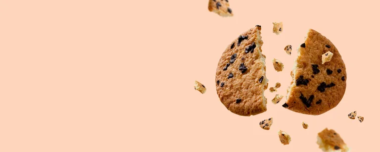Header Image